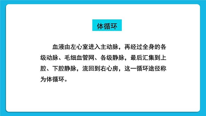 第四章 人体内物质的运输 第三节 输送血液的泵——心脏 课件+教案+素材05