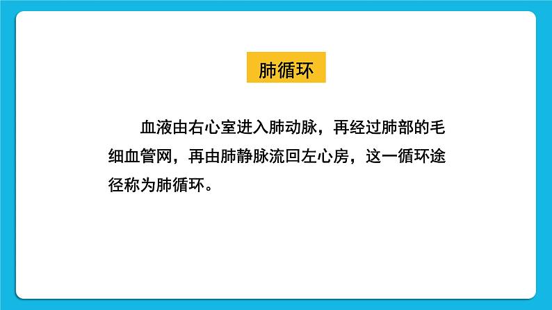 第四章 人体内物质的运输 第三节 输送血液的泵——心脏 课件+教案+素材08