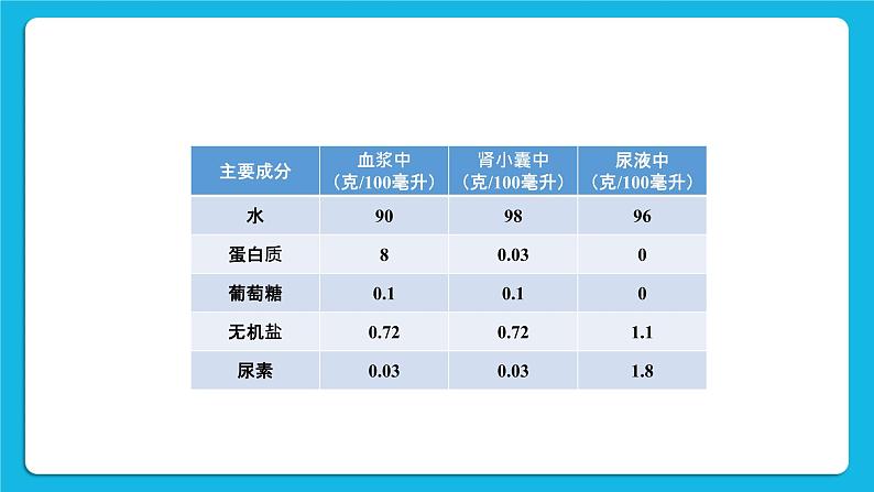 第1课时 尿的形成和排出 课件第4页