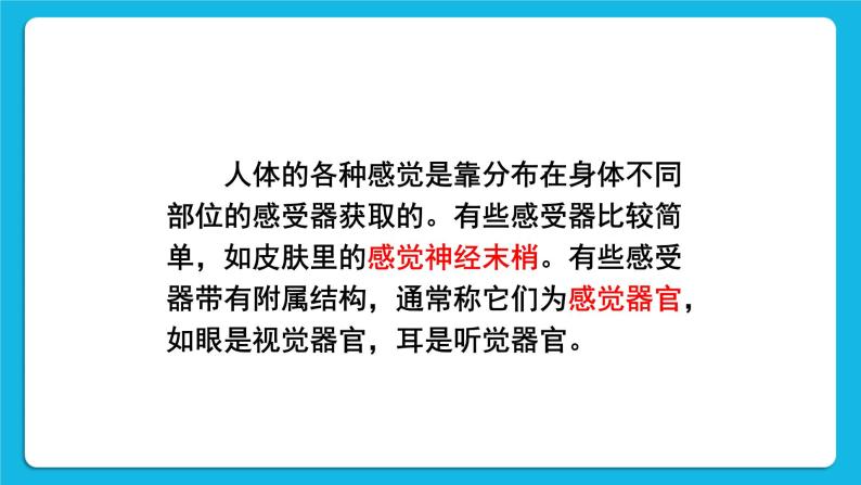 第六章 人体生命活动的调节 第一节 人体对外界环境的感知 第1-2课时 课件+教案+素材05