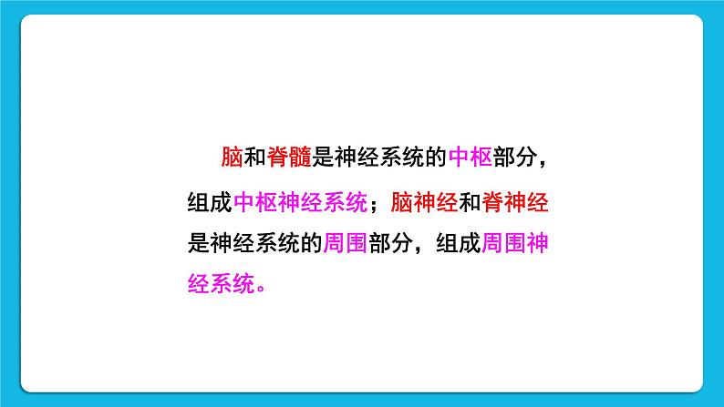 第六章 人体生命活动的调节 第二节 神经系统的组成 课件+教案+素材07