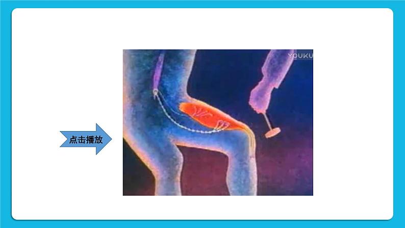 第六章 人体生命活动的调节 第三节 神经调节的基本方式 课件2+教案+素材08