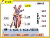 9.2.2《血液循环》课件PPT+教案+同步练习