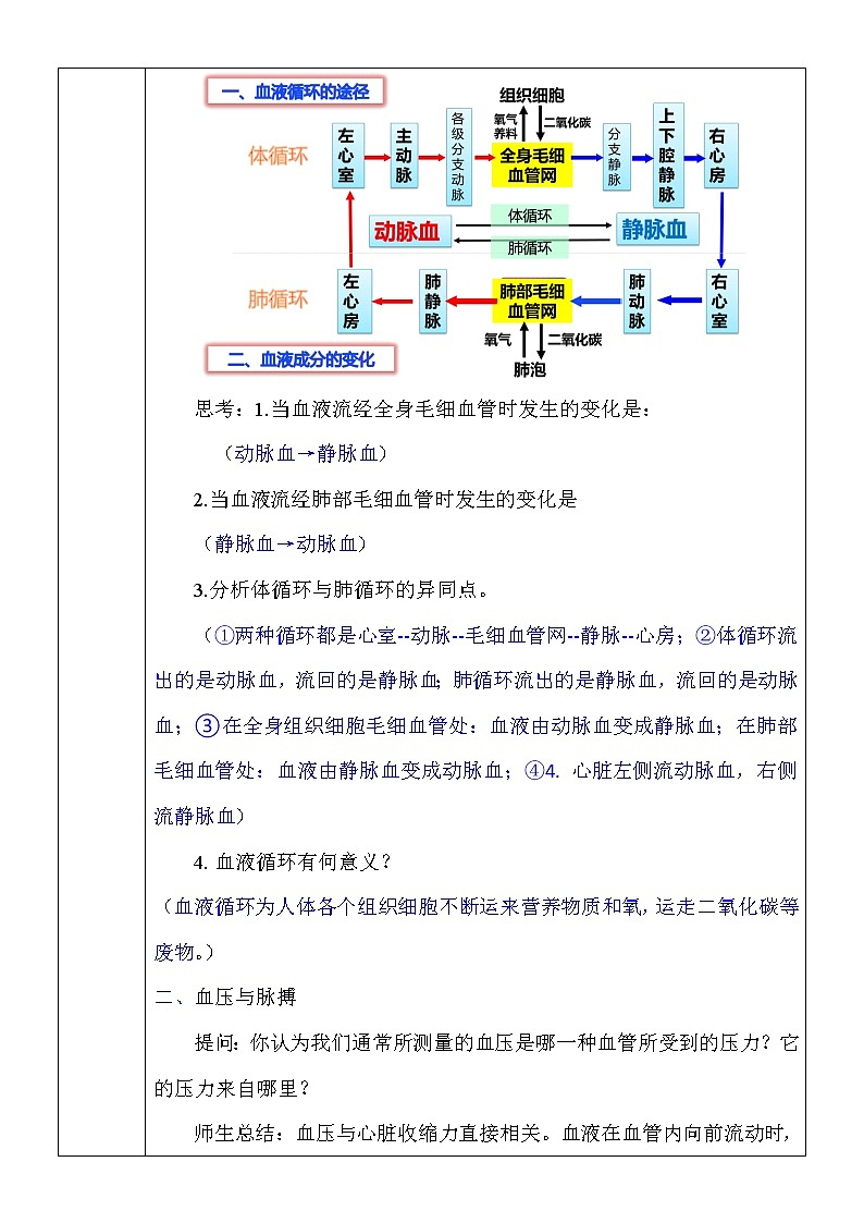 9.2.3《血液循环》教案第2页