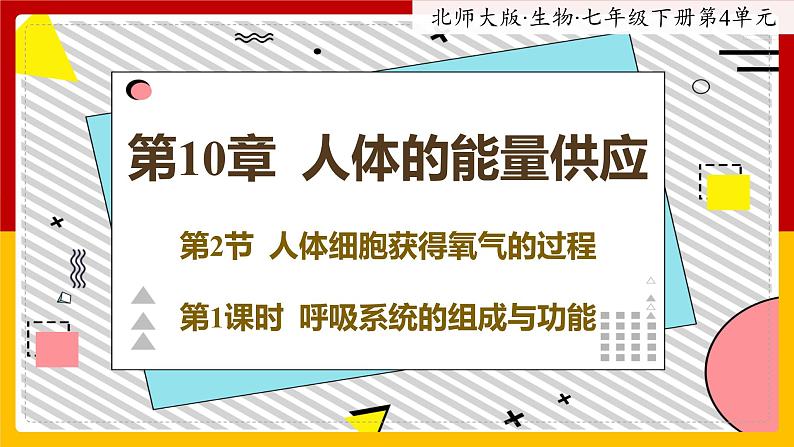 10.2.1《人体细胞获得氧气的过程》课件PPT+教案+同步练习01