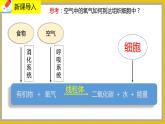 10.2.1《人体细胞获得氧气的过程》课件PPT+教案+同步练习