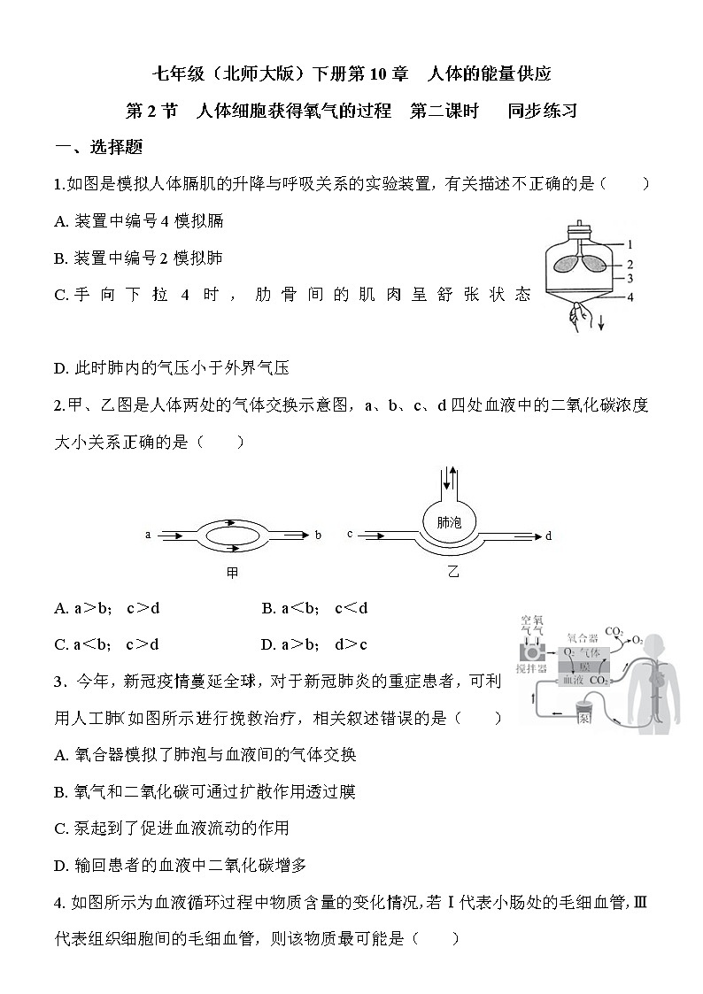 10.2.2《人体细胞获得氧气的过程》同步练习第1页