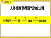 10.2.2《人体细胞获得氧气的过程》课件PPT+教案+同步练习