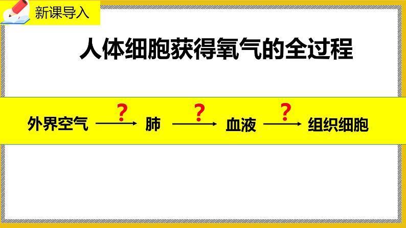 10.2.2《人体细胞获得氧气的过程》课件PPT第2页