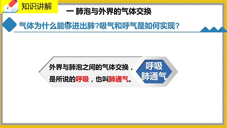 10.2.2《人体细胞获得氧气的过程》课件PPT第3页