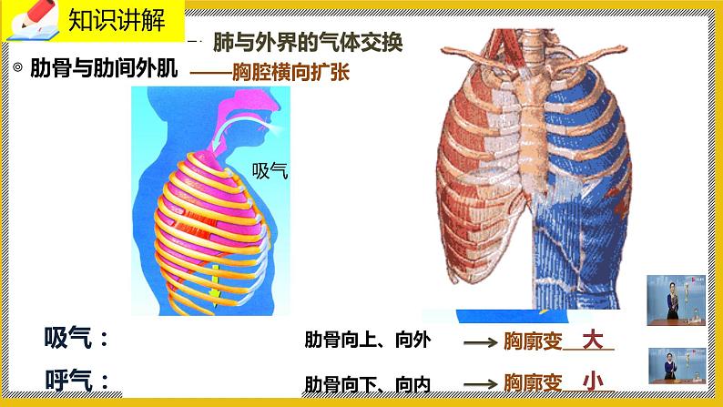 10.2.2《人体细胞获得氧气的过程》课件PPT第6页