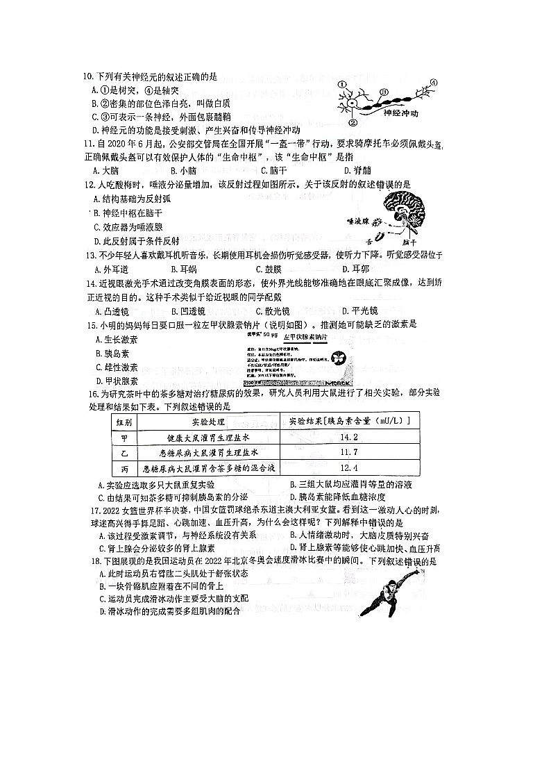 江苏省徐州市金榜国际学校2022-2023学年八年级上学期期末抽测生物试卷02