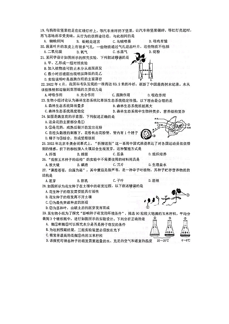 江苏省徐州市金榜国际学校2022-2023学年八年级上学期期末抽测生物试卷03