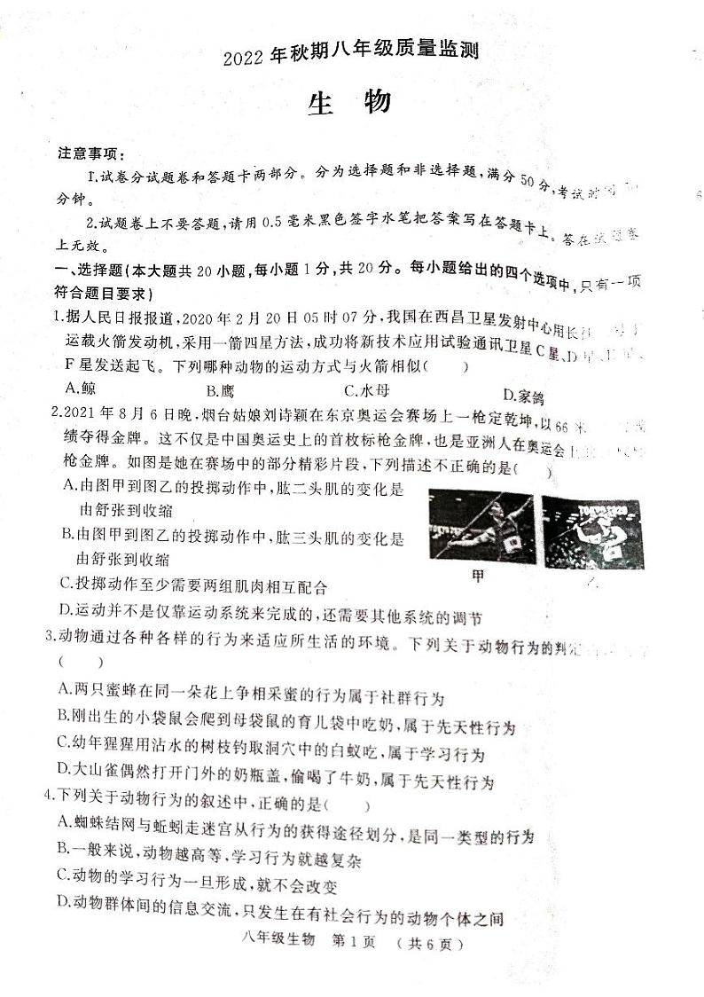 河南省驻马店市驿城区2022－2023学年八年级上学期期末质量监测生物试卷01