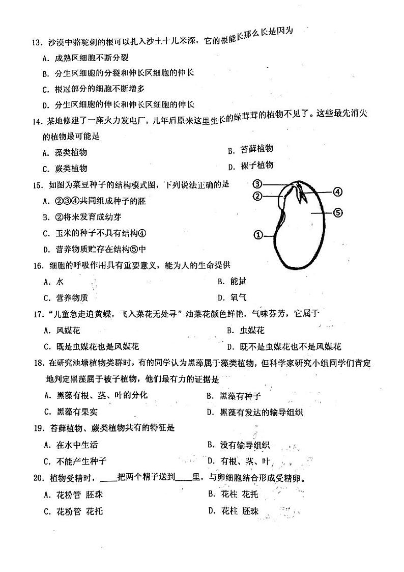 江西省鹰潭市余江区2022-2023学年七年级上学期期末生物试题第3页