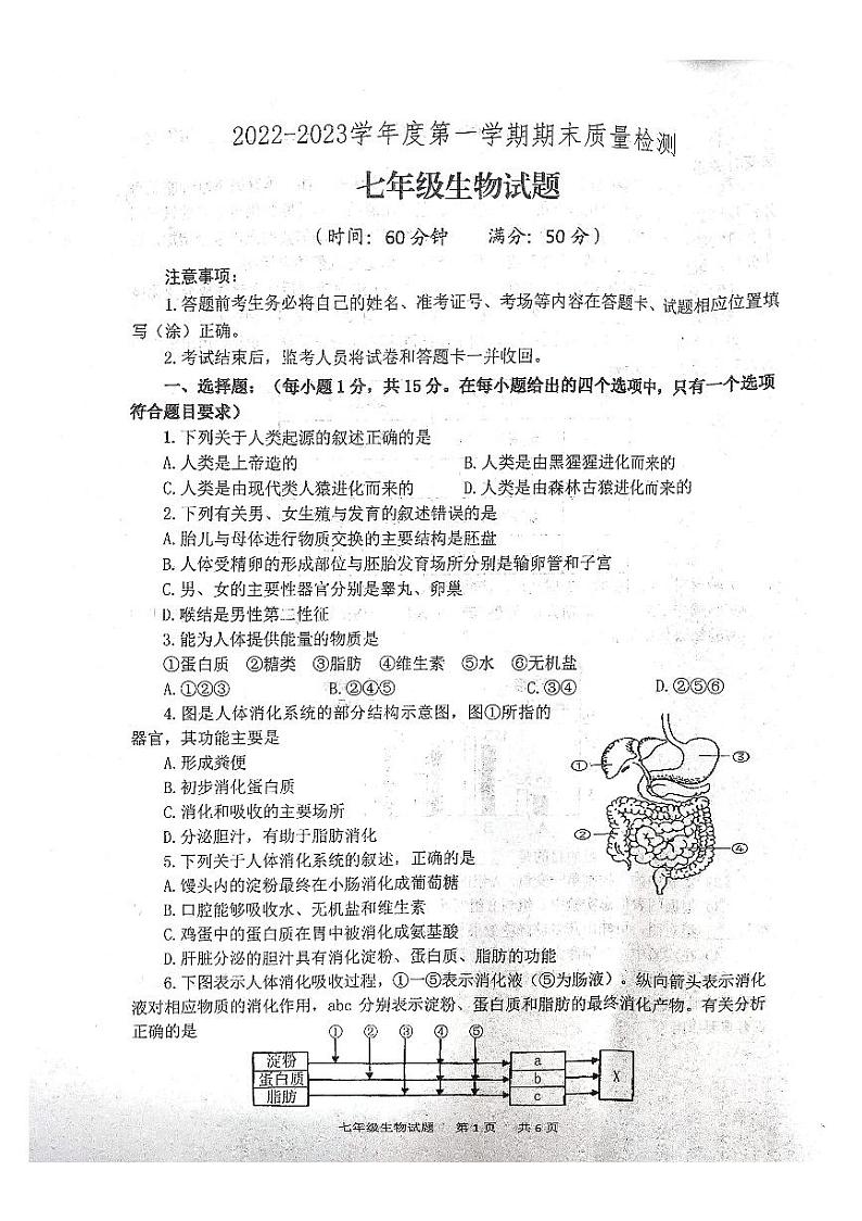 山东省泰安市宁阳县2022-2023学年七年级上学期期末生物试题01