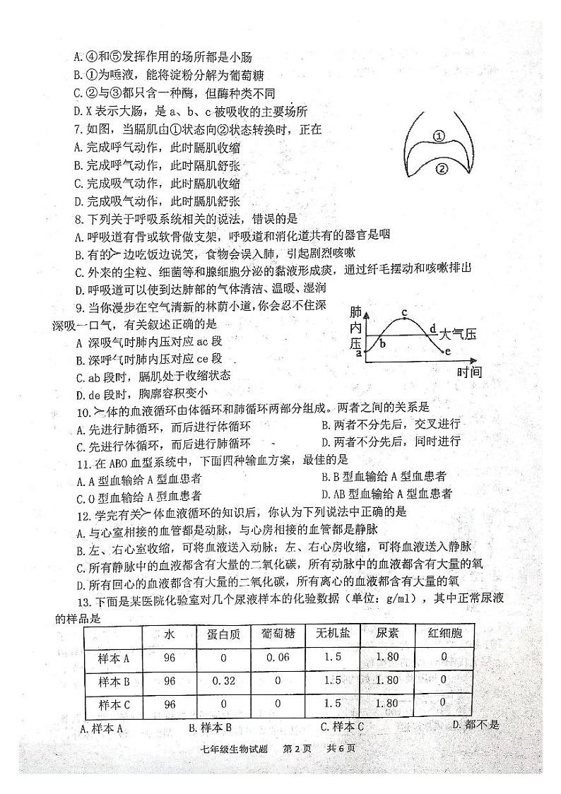 山东省泰安市宁阳县2022-2023学年七年级上学期期末生物试题02