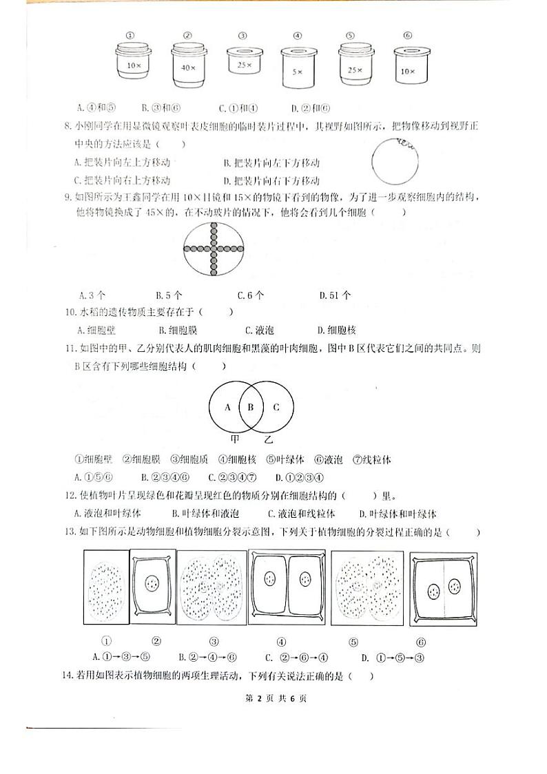 广东省惠州市惠东县2021-2022学年七年级上学期生物期末试卷02