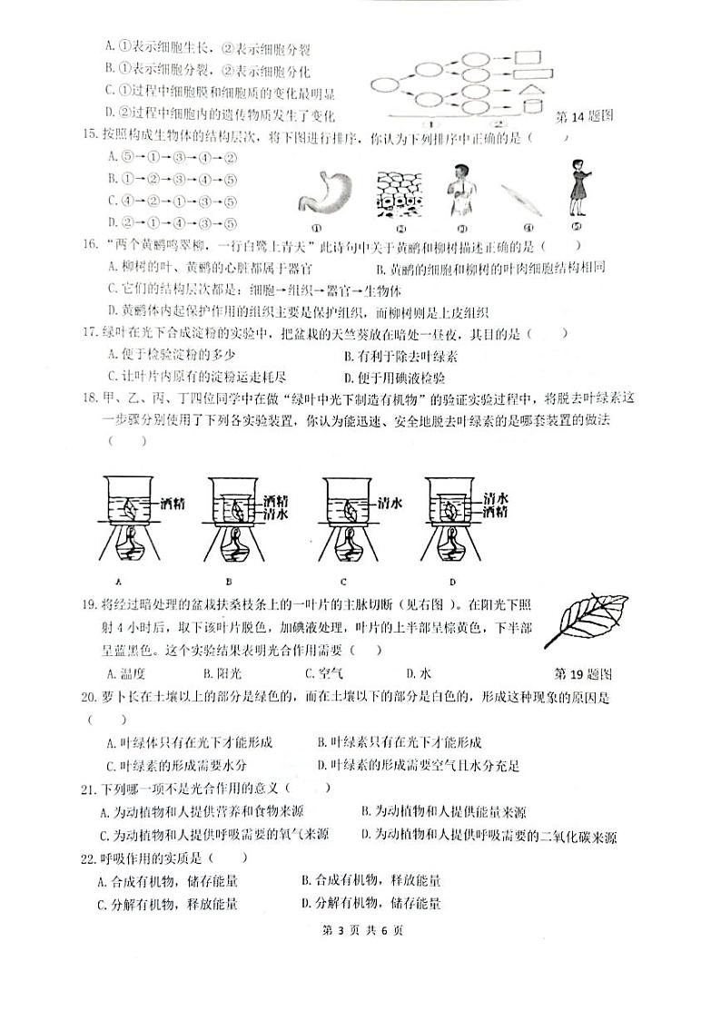 广东省惠州市惠东县2021-2022学年七年级上学期生物期末试卷03