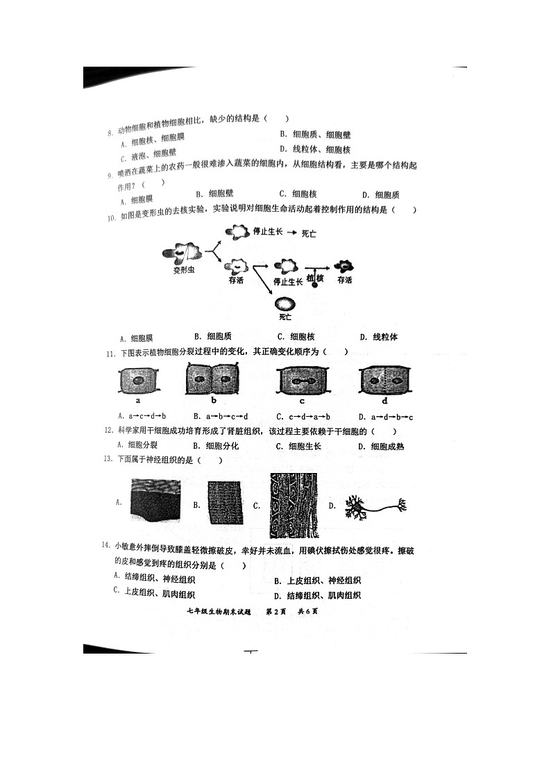 广东省惠州市惠阳区2022-2023学年七年级上学期期末教学质量检测生物试题第2页