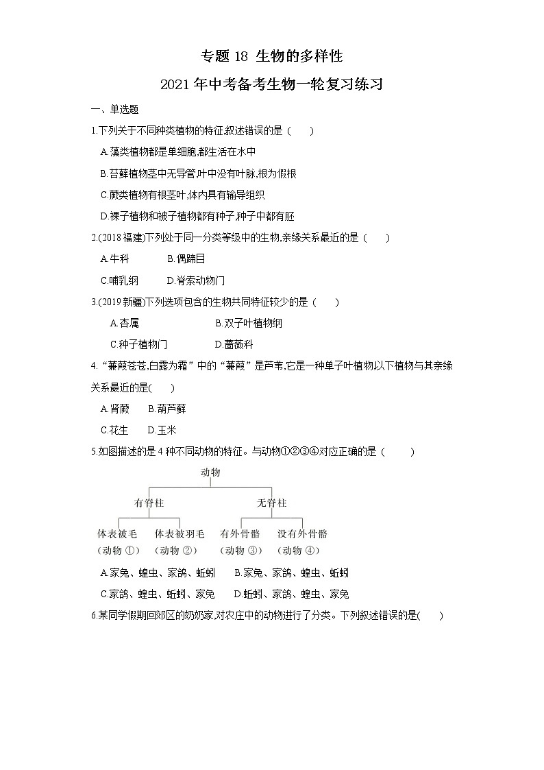 初中生物中考复习 专题18 生物的多样性（练习）（原卷版）第1页