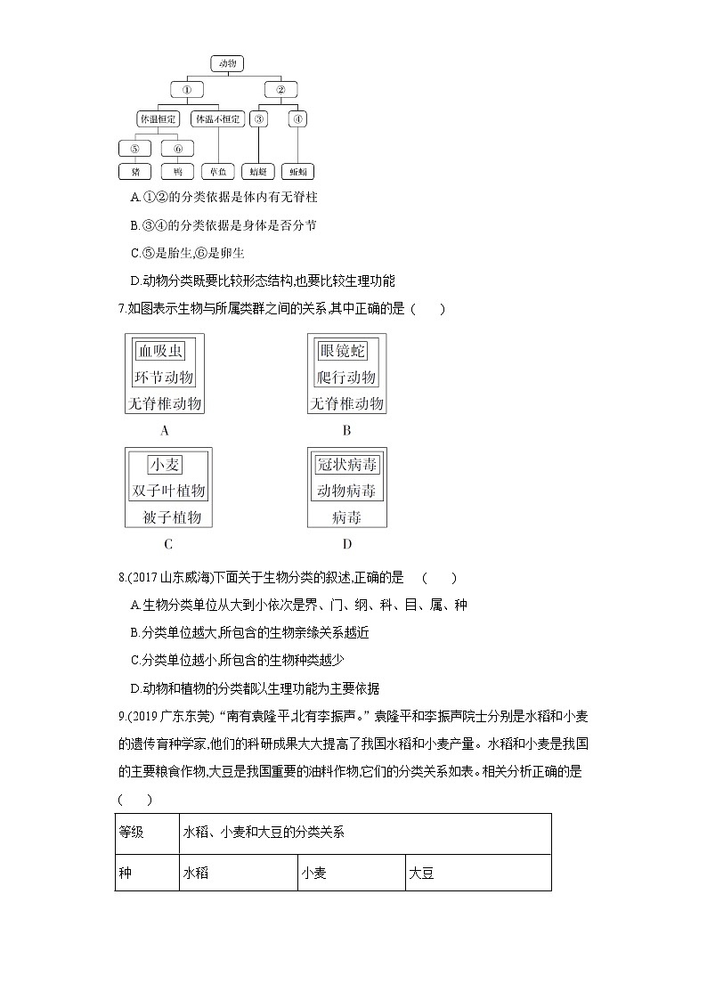 初中生物中考复习 专题18 生物的多样性（练习）（原卷版）第2页