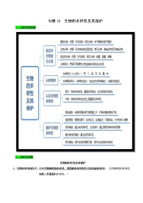 初中生物中考复习 专题18 生物的多样性及其保护（解析版）