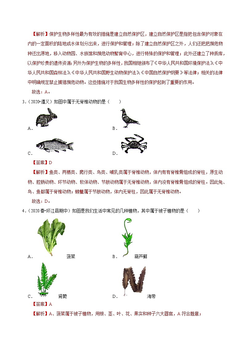 初中生物中考复习 专题18 生物的多样性及其保护（解析版）03