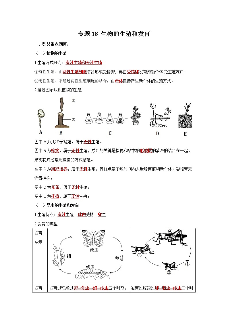 初中生物中考复习 专题18 生物的生殖和发育（解析版）第1页