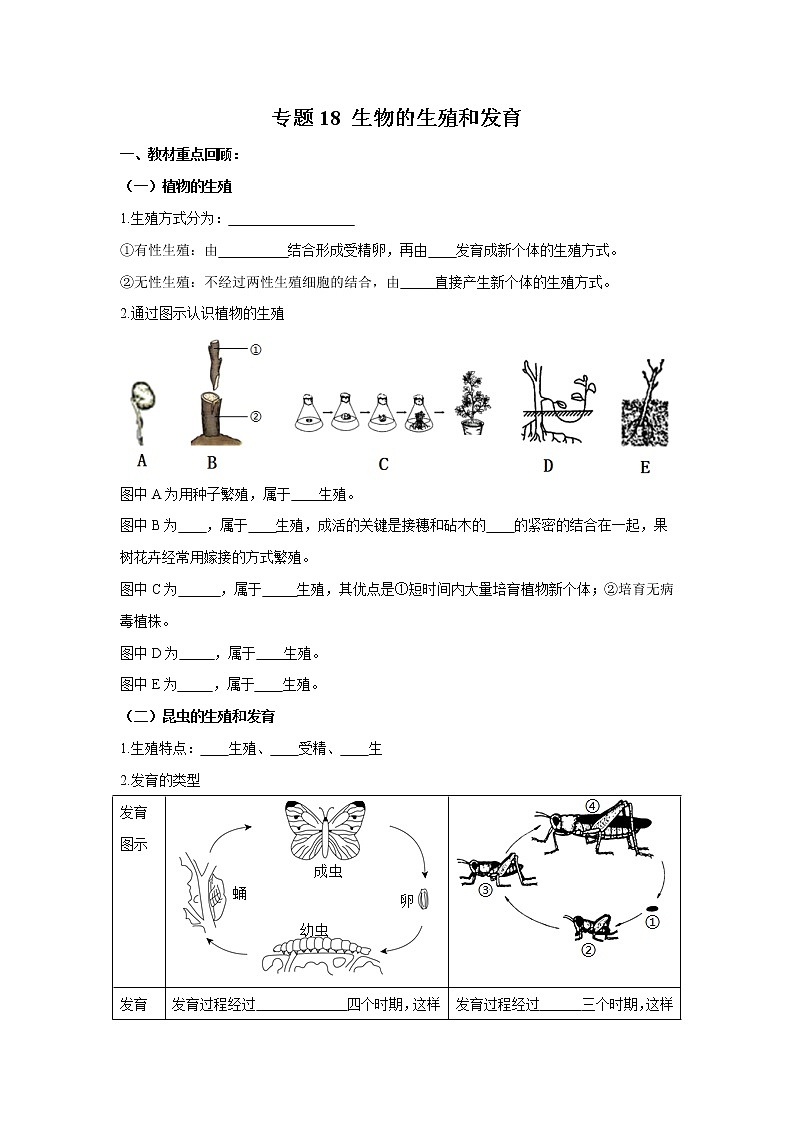 初中生物中考复习 专题18 生物的生殖和发育（原卷版）第1页