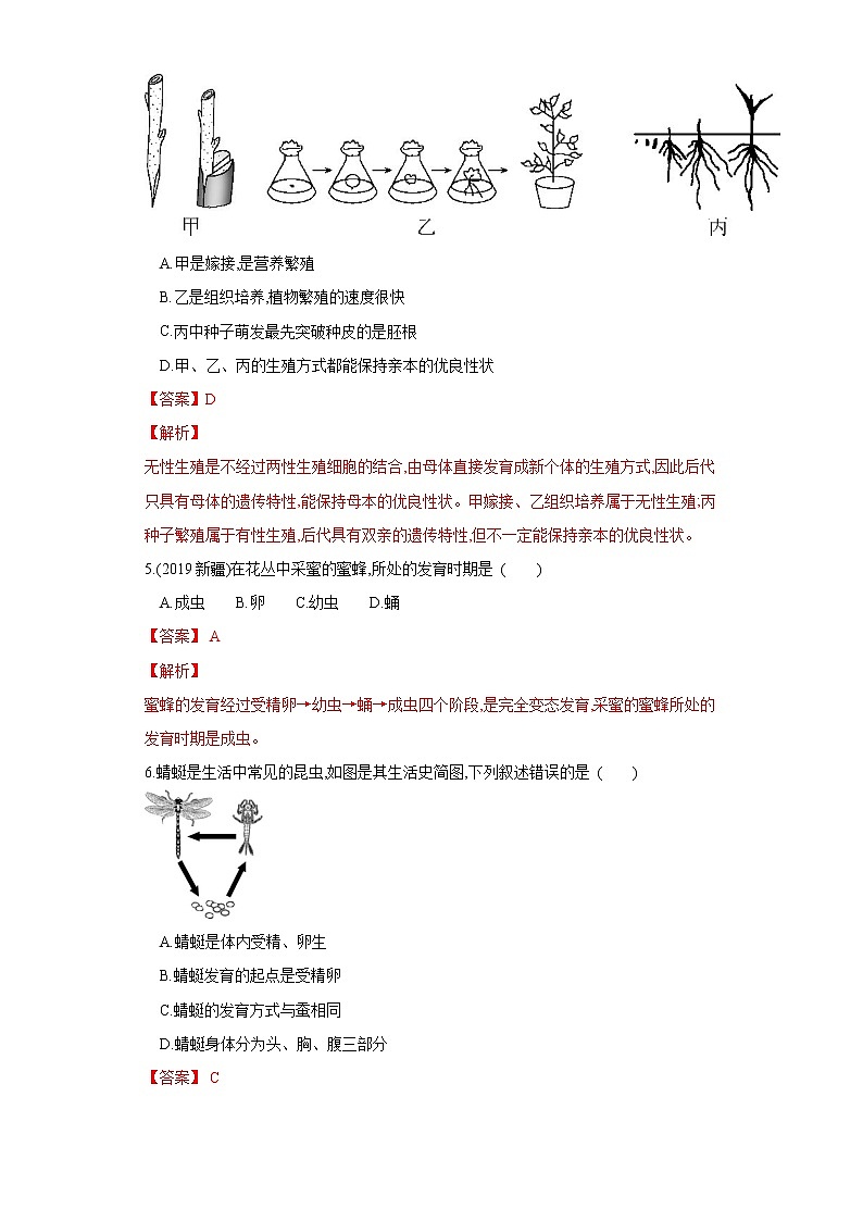 初中生物中考复习 专题19 生物的生殖和发育（练习）（解析版）第2页