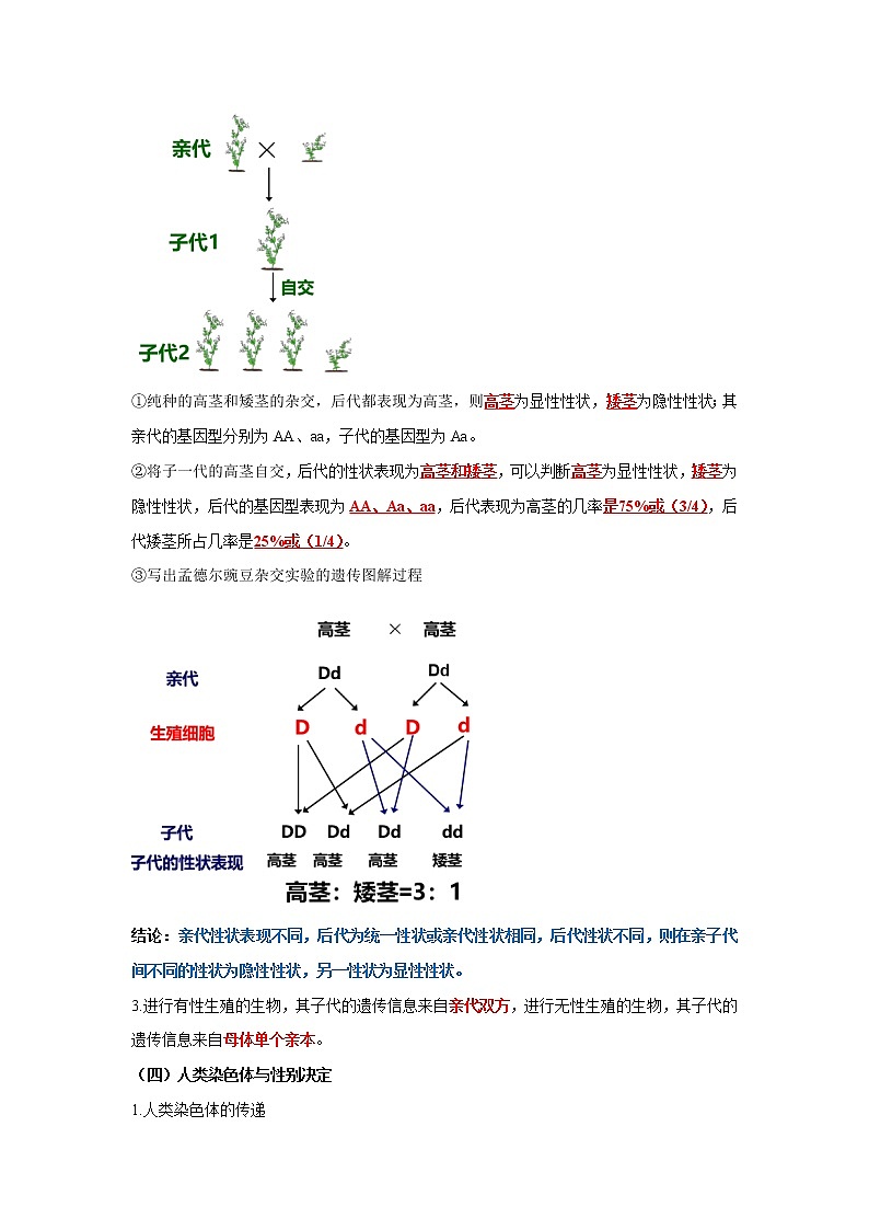 初中生物中考复习 专题19 生物的遗传与变异（解析版）第3页