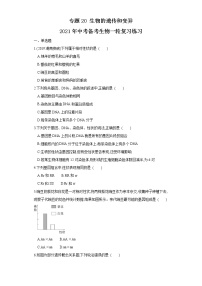 初中生物中考复习 专题20 生物的遗传和变异（练习）（原卷版）