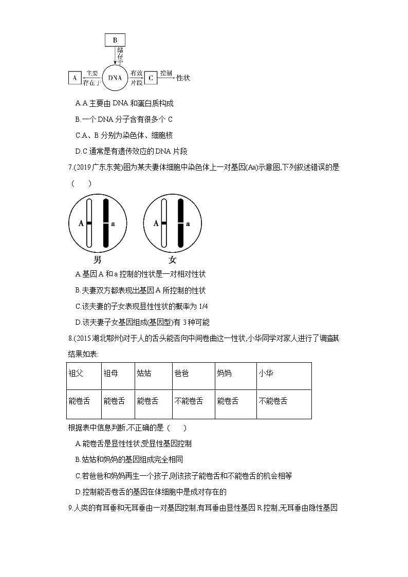 初中生物中考复习 专题20 生物的遗传和变异（练习）（原卷版）第2页