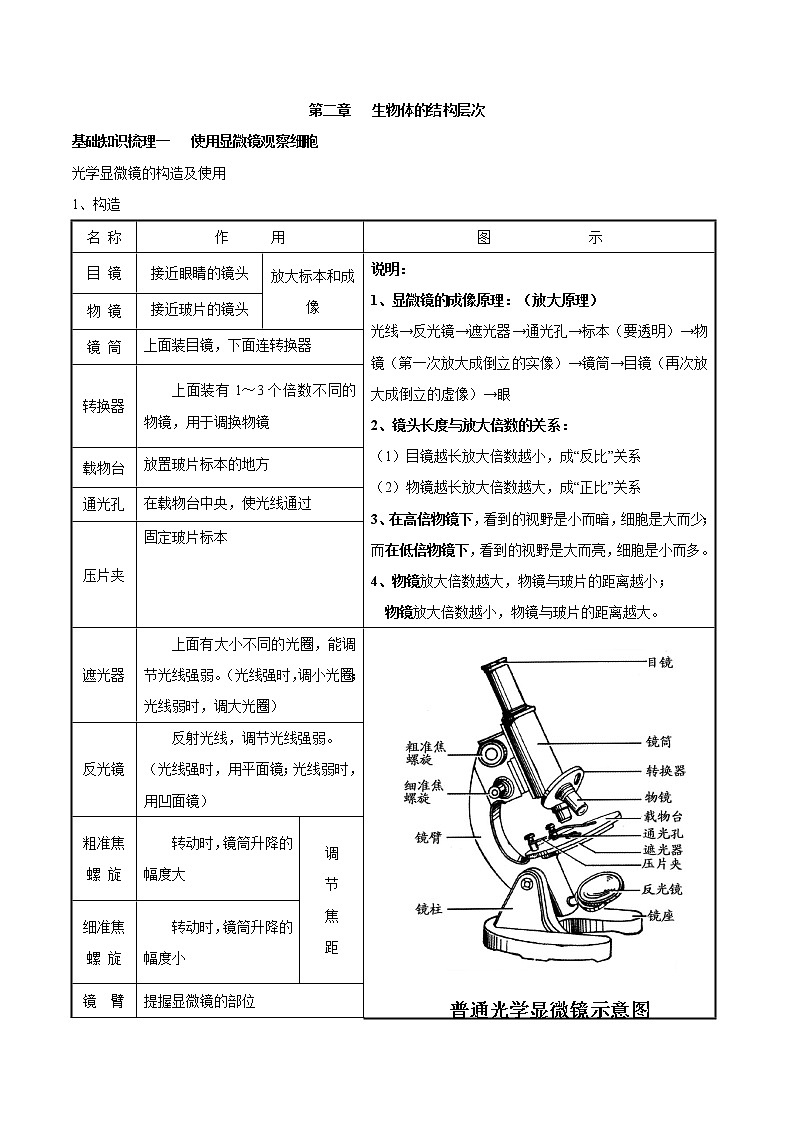 初中生物中考复习 专题二 生物体的结构层次-2021年中考生物核心考点必背合集第1页
