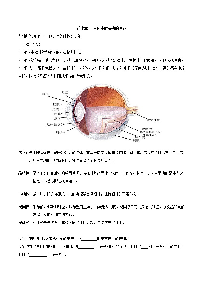 初中生物中考复习 专题七 人体生命活动的调节-2021年中考生物核心考点必背合集01
