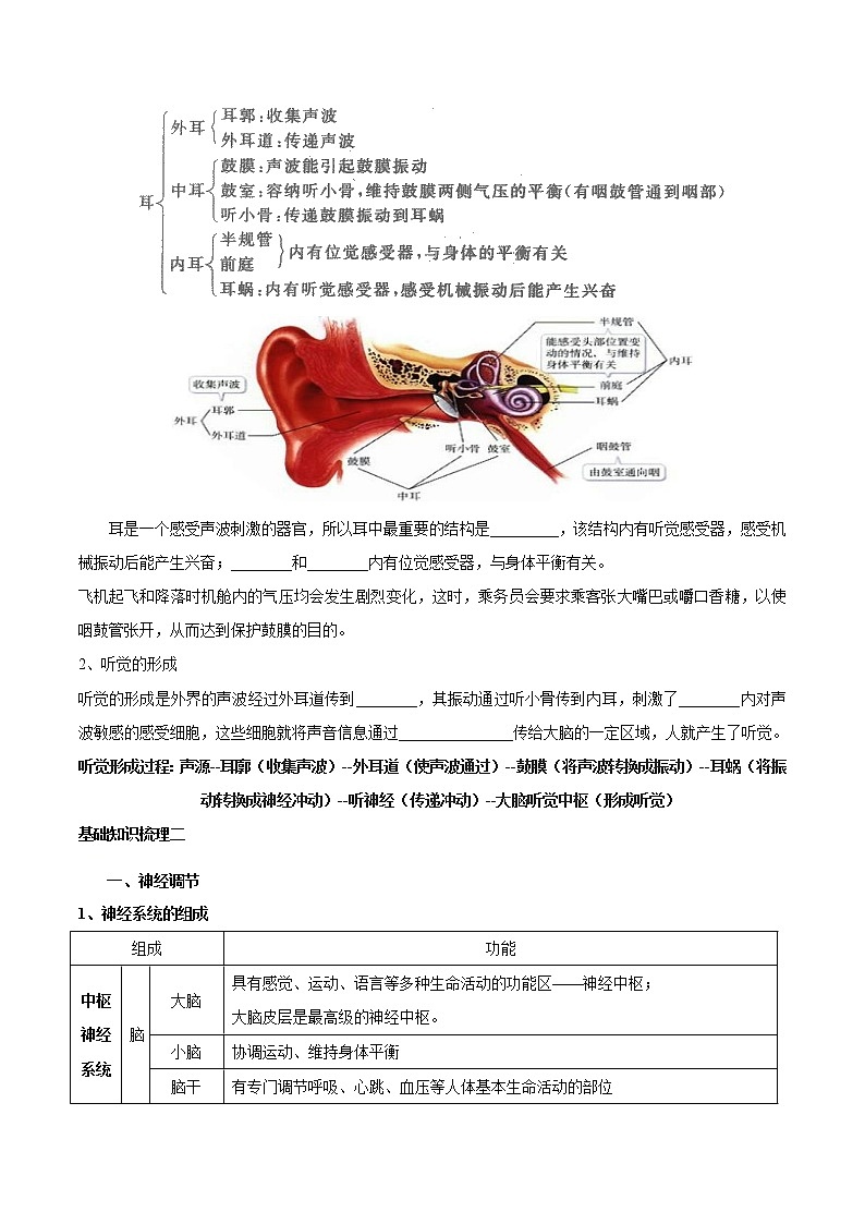 初中生物中考复习 专题七 人体生命活动的调节-2021年中考生物核心考点必背合集03