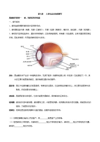 初中生物中考复习 专题七 人体生命活动的调节-2023年中考生物核心考点必背合集