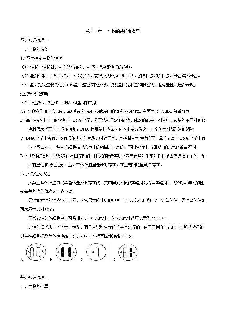 初中生物中考复习 专题十二 生物的遗传和变异-2023年中考生物核心考点必背合集01