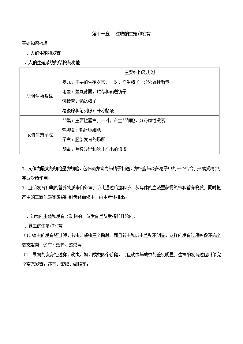 初中生物中考复习 专题十一 生物的生殖和发育-2023年中考生物核心考点必背合集01