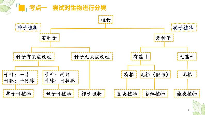 初中生物中考复习 专题18 生物的多样性及其保护（上课用课件）-【过一轮】2022年中考生物一轮复习课件精讲与习题精练第5页