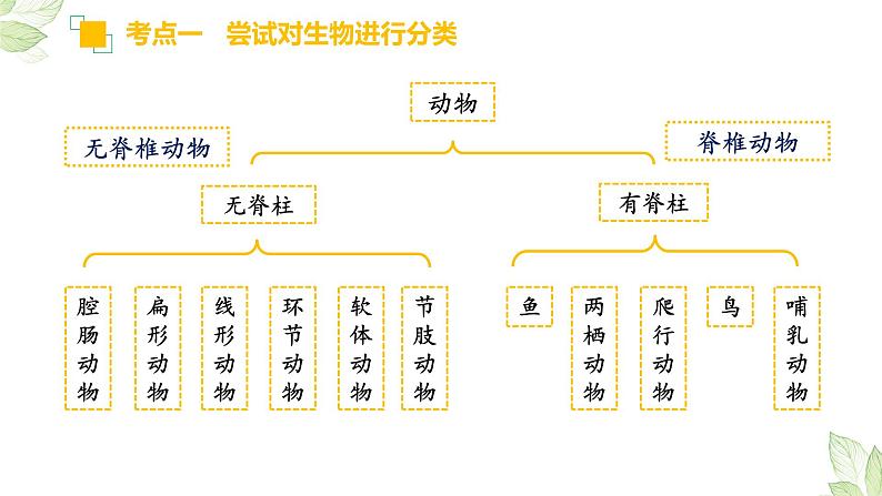 初中生物中考复习 专题18 生物的多样性及其保护（上课用课件）-【过一轮】2022年中考生物一轮复习课件精讲与习题精练第6页