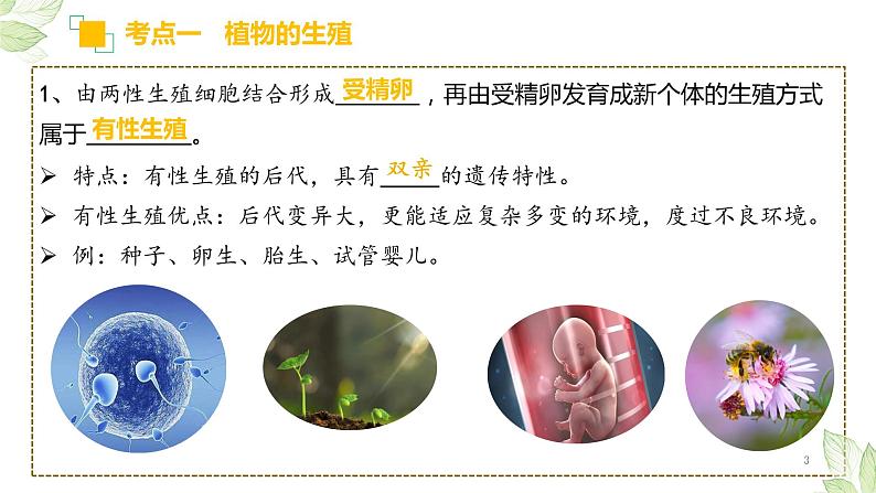 初中生物中考复习 专题19 生物的生殖和发育（上课用课件）-【过一轮】2022年中考生物一轮复习课件精讲与习题精练第3页