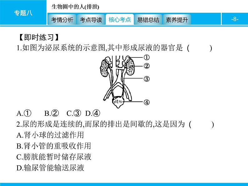 初中生物中考复习 专题八　生物圈中的人(排泄) 课件 2021届中考生物一轮复习08