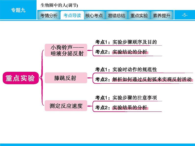 初中生物中考复习 专题九　生物圈中的人(调节) 课件 2021届中考生物一轮复习第5页