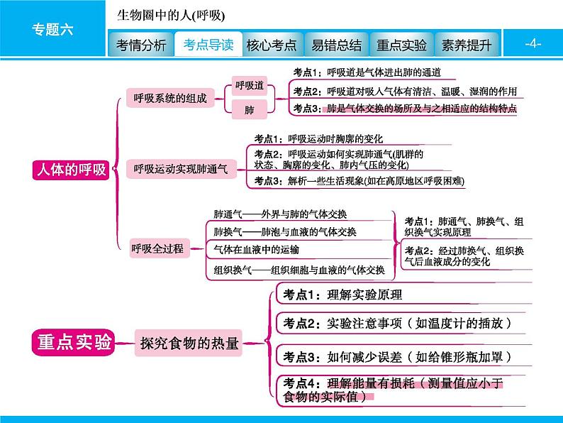 初中生物中考复习 专题六　生物圈中的人(呼吸) 课件 2021届中考生物一轮复习第4页