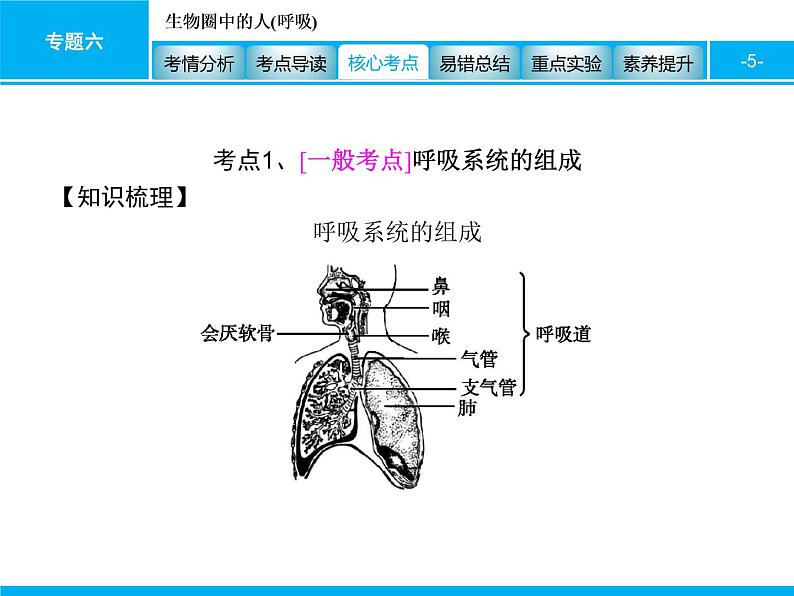 初中生物中考复习 专题六　生物圈中的人(呼吸) 课件 2021届中考生物一轮复习第5页