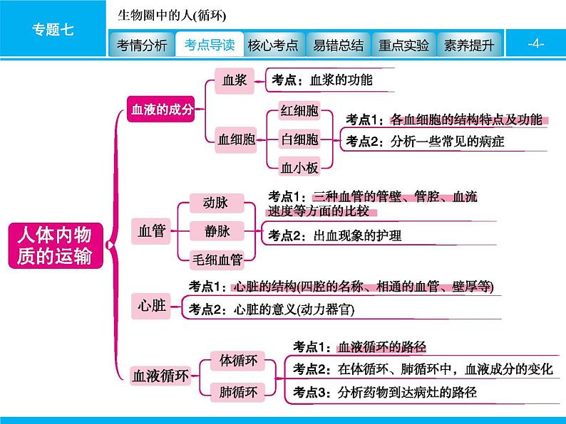 初中生物中考复习 专题七　生物圈中的人(循环) 课件 2021届中考生物一轮复习第4页