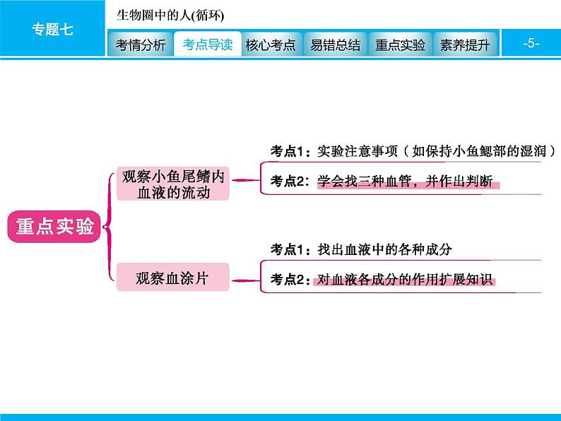 初中生物中考复习 专题七　生物圈中的人(循环) 课件 2021届中考生物一轮复习第5页