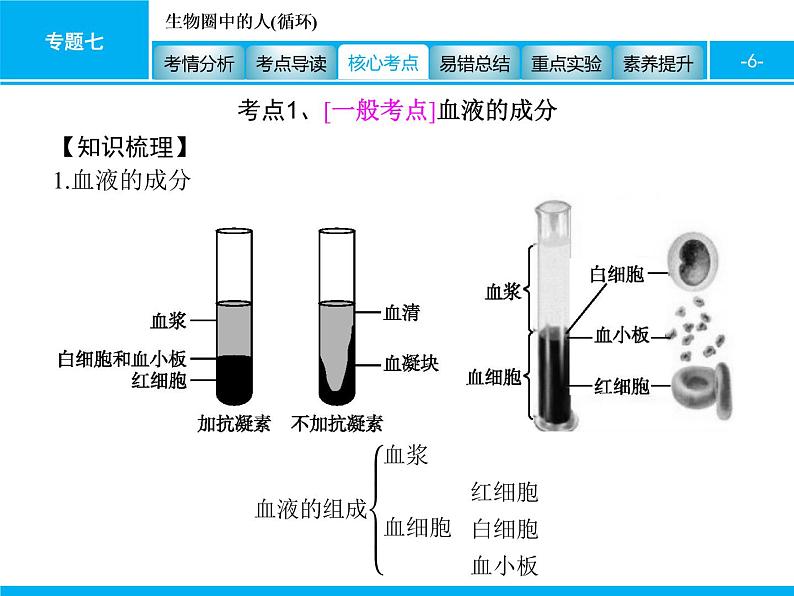 初中生物中考复习 专题七　生物圈中的人(循环) 课件 2021届中考生物一轮复习第6页